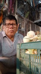 como limpiar las cebollas