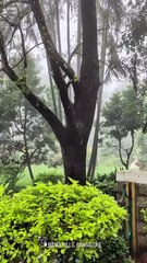 AQMYXl-3NKyOGg-gVP9wy3t-jIPXd93GrVXwMsdC-vBfvxL1BOD_-SKj8MgZUymxo3Rj5dbLNfDkkIQvZc4JY7qQuOMy6NzREDF1y5I