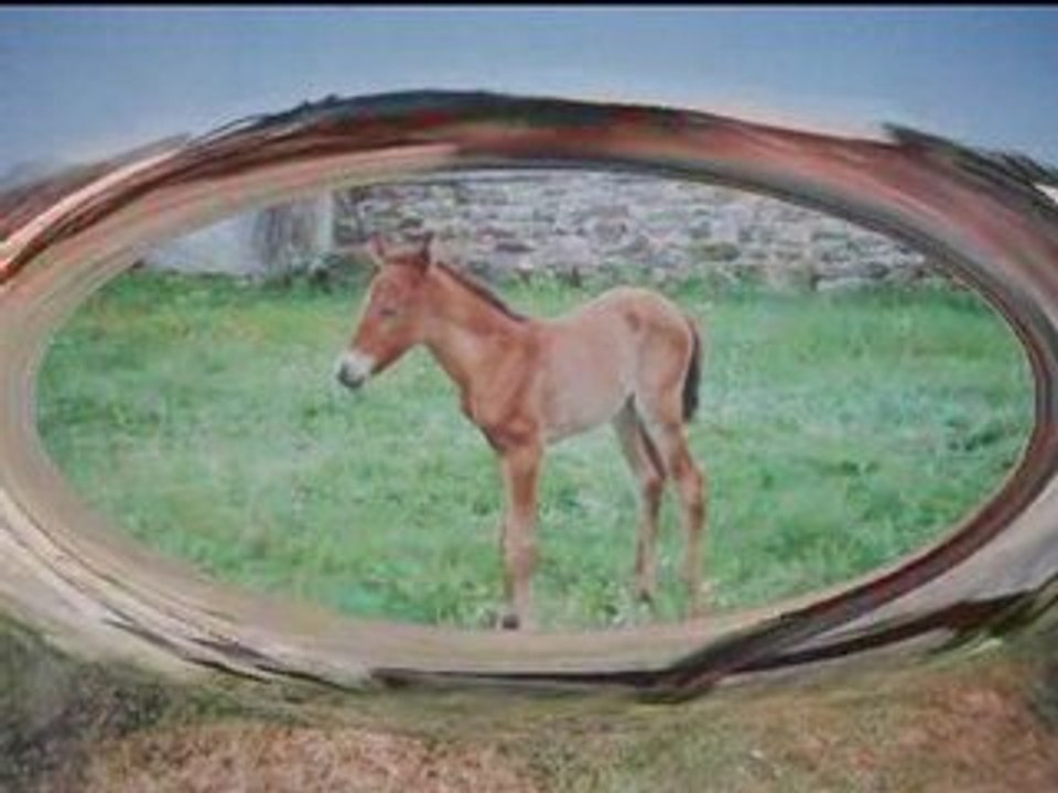 Cranou il y a qq années