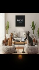 Silly Cats Roasting Cat Parents on Podcast 😹