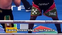 Canelo's head SNAPS from BRUTAL counter left!