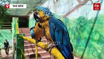 इंदौर का एग्जॉटिक पक्षी विहार बना बर्ड हैंडलिंग का केंद्र, बेंगलुरु से आई टीम