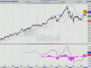 COLZA EURONEXT 24.05.08