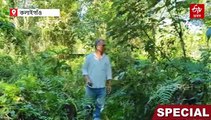 বন, বন্যপ্ৰাণী আৰু পৰিৱেশ সুৰক্ষাৰ বাবে সমৰ্পিত এগৰাকী শিক্ষক, নিজৰ মাটিত গঢ়িছে অৰণ্য