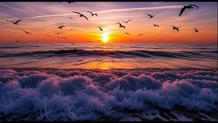 ⚔️ The Curse of the Black Tide | Epic Pirate Adventure | 3D Animation Movie (Full Story)