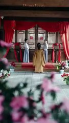 scorned beauty desperate men chinese drama