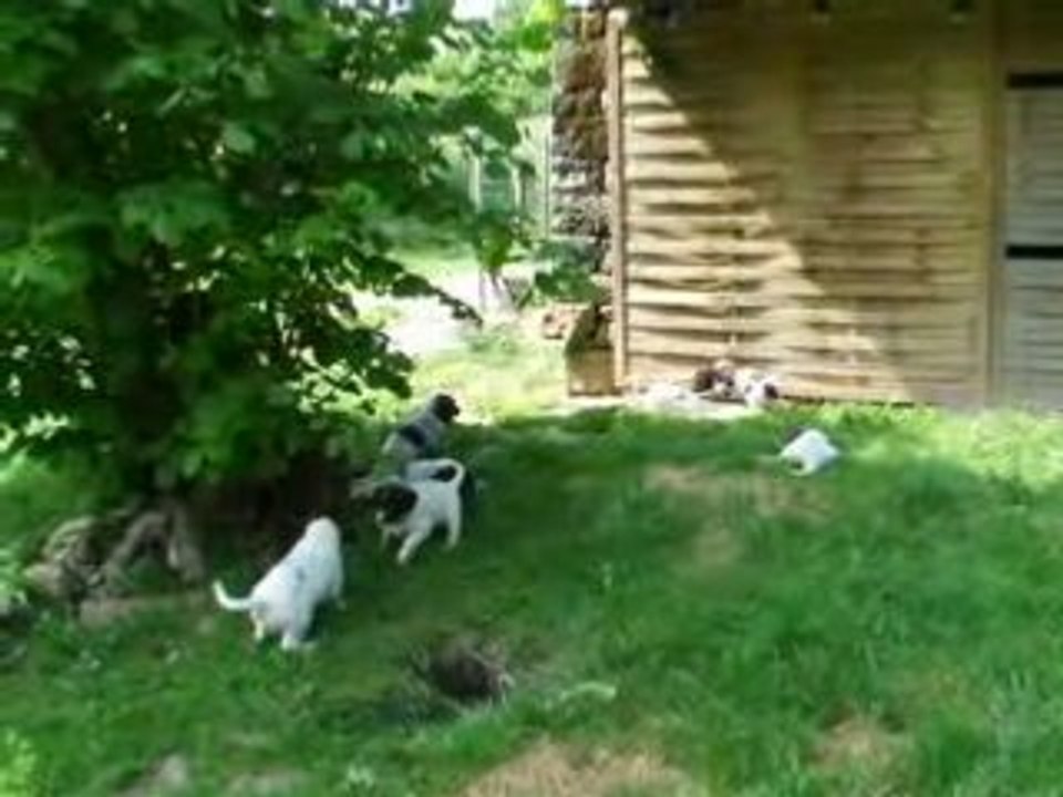 2008_0524DLetKLM0020