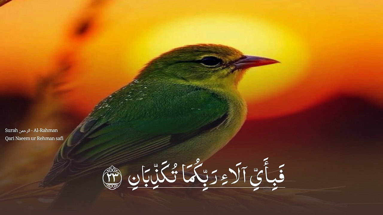 3841رحمن