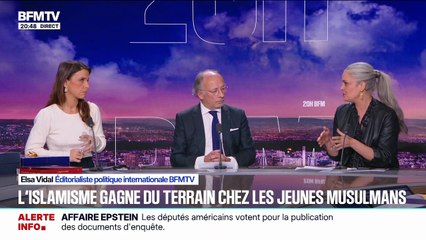 Les propos tenus par Agnès Rosique ont fait polémique dans le "20h BFM".