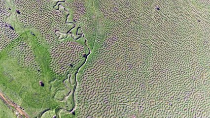 Karagöl Yaylası'nın eşsiz menderesleri: İşte böyle görüntülendi!