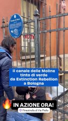 Il canale delle Moline tinto di verde da Extinction Rebellion a Bologna. Il video