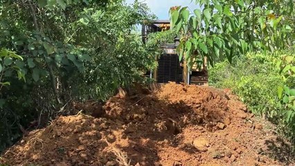 Fixing Plantation Road Damage Bulldozer D6R XL Repairs Mountain Road