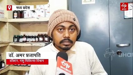 दमोह में मौत बनकर दौड़ा लंपी वायरस, गौशालाओं में कई पशुओं की डेथ, अलर्ट पर हेल्थ डिपार्टमेंट