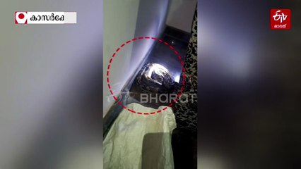 ടിവി കണ്ടുകൊണ്ടിരിക്കെ മുന്നില്‍ ഭീമൻ പെരുമ്പാമ്പ്; വീട്ടുകാര്‍ മുള്‍മുനയില്‍നിന്ന ഒരു മണിക്കൂർ, ഒടുവില്‍ പിടികൂടി