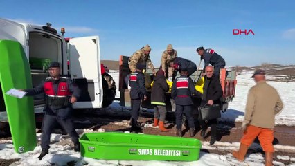 Sivas’ta 9 gündür kayıp olan 77 yaşındaki Musa Uygun ölü bulundu