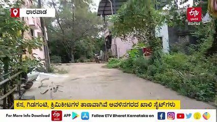 ಕಸ, ಗಿಡಗಂಟಿ, ಕ್ರಿಮಿಕೀಟಗಳ ತಾಣವಾಗಿರುವ ಅವಳಿನಗರದ ಖಾಲಿ ಸೈಟ್​​ಗಳು: ಓಪನ್ ಸೈಟ್ ಕ್ಲೀನ್ ಯಾವಾಗ? ಸಾರ್ವಜನಿಕರ ‌ಪ್ರಶ್ನೆ