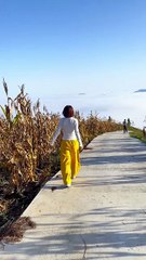 Witnessing the majestic sea of clouds with her! A perfect moment of freedom, fashion, and natural beauty high above the world. Let the gentle music set the mood for your next romantic escape. A truly dreamy travel experience. #seaofclouds #travelaesthetic