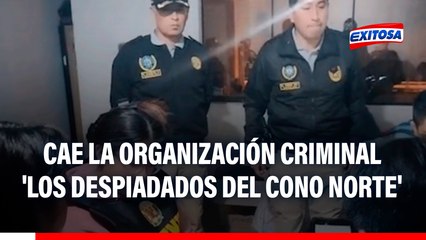 Cae la organización criminal 'Los Despiadados del Cono Norte': Se dedicaban a la extorsión y sicariato