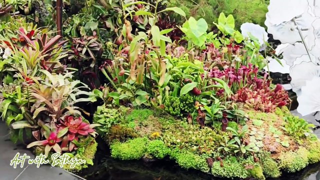 Singapore Day 5 Vlog | Changi Airport to Gardens by the Bay 🌸 Cloud Forest & Supertree Grove Magic