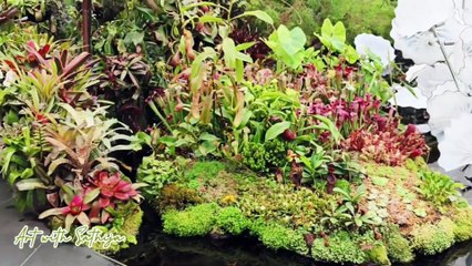 Singapore Day 5 Vlog | Changi Airport to Gardens by the Bay 🌸 Cloud Forest & Supertree Grove Magic