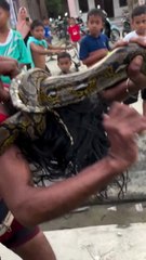 🤣 Hilarious Python Prank Goes Wrong! Man Gets a Shocking Snake 'Hairdo'