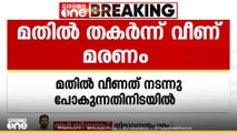 തിരുവനന്തപുരം നെയ്യാറ്റിൻകരയിൽ മതിൽ തകർന്ന് വീണ് വയോധിക മരിച്ചു