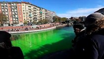 Milano, il naviglio diventa verde: i passanti incuriositi si godono lo strano 