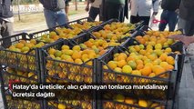 Hatay'da üreticiler, alıcı çıkmayan tonlarca mandalinayı ücretsiz dağıttı