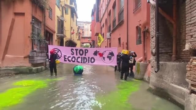 Extinction Rebellion protesta a Bologna, colorata di verde l'acqua del canale delle Moline: «Contro l'ecocidio»
