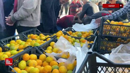 Hatay'da üreticiler, alıcı çıkmayan tonlarca mandalinayı ücretsiz dağıttı