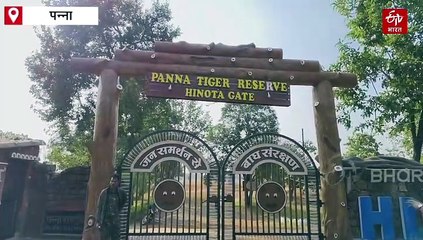 पन्ना टाइगर रिजर्व से बड़ी खुशखबरी, हथिनी अनारकली ने दिया 2 बच्चों को जन्म