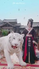 scorned beauty desperate men chinese drama #shortfilms