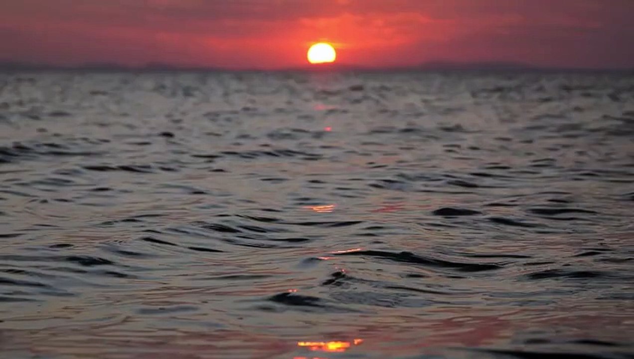 👩‍🎨WhatsApp प्रोफाइल DP - ShareChat