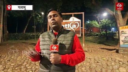 सांप के जहर और पैंगोलिन के स्कल का अवैध धंधा, चीन और साउथ ईस्ट एशिया तक फैला है कारोबार!