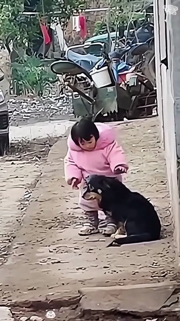 ⁣To Pets lovers