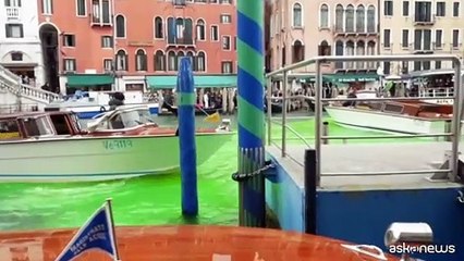 Venezia, il Canal Grande colorato di verde dagli attivisti per il clima