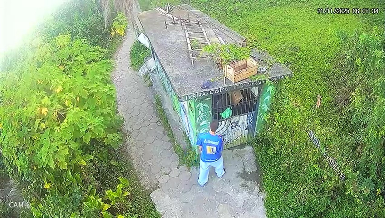 Assassino de estudante em trilha de Florianópolis se escondeu no mato para surpreender vítima