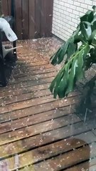 Chuva de granizo surpreende moradores na Grande Florianópolis