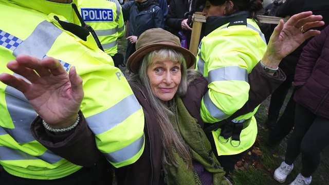 Daughter of Holocaust survivor among those arrested at Palestine Action protest