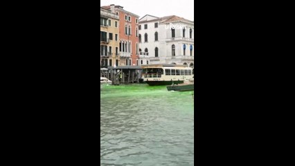 Venise : Extinction Rebellion teint le Grand Canal en vert