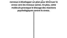 Une molécule de circARN pour traiter l’anxiété