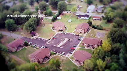 LOBO EM PELE DE CORDEIRO - O M3DICO P3DÓFILO - T01EP05 - ID