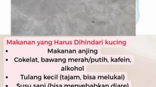 Makanan yang Harus Dihindari kucing