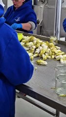 Boccia - Un giro nel regno del vero km zero: ortaggi di Puglia (22.11.25)