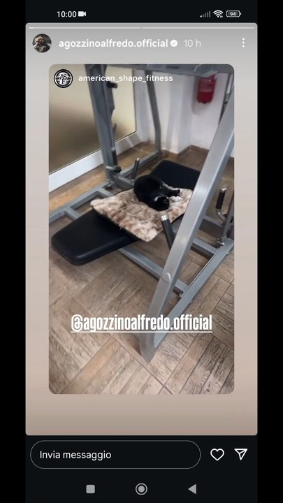 agozzino Alfredo gli attrezzi della palestra occupati dai suoi gatti