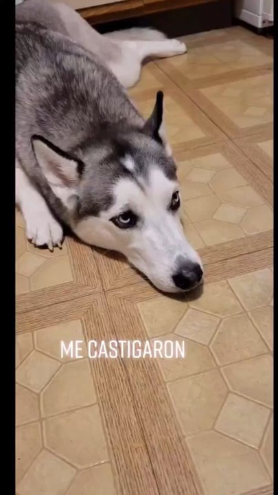 😍