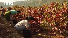 A Evolução da Política Agrícola Comum (PAC): Da Produção em Massa a uma Agricultura Mais Sustentável
