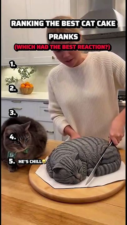 Ranking The Best Cat Cake Pranks