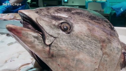 Mary at 90: A Lifetime of Cooking S01E02