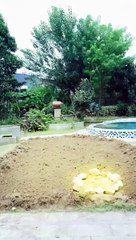 Cultivation Queen's Return To The City